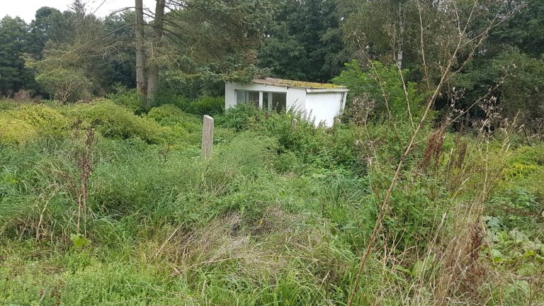 Gemeinschaftsgarten & Obstgarten unterstützen